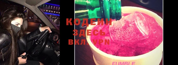 СК Пересвет