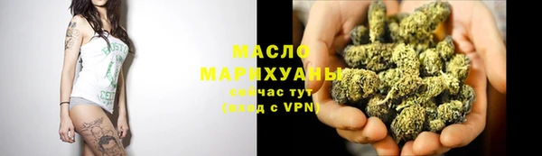 СК Пересвет