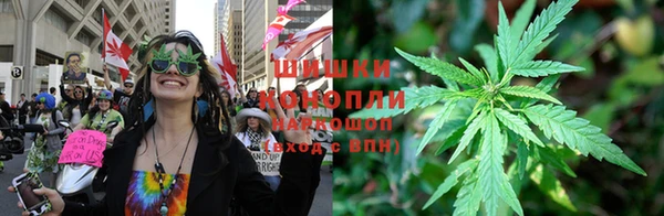 СК Пересвет