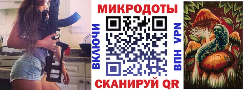 Псилоцибиновые грибы Psilocybe  Печора 