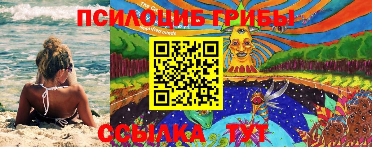 Галлюциногенные грибы мухоморы Печора