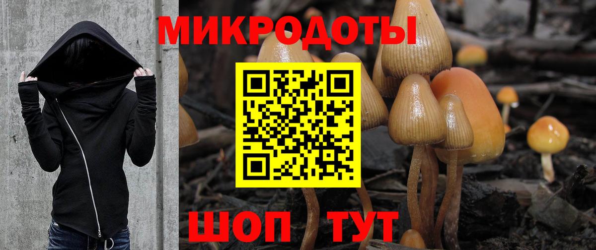 Псилоцибиновые грибы прущие грибы  Псилоцибиновые грибы Psilocybine cubensis  Вход с VPN  Печора 